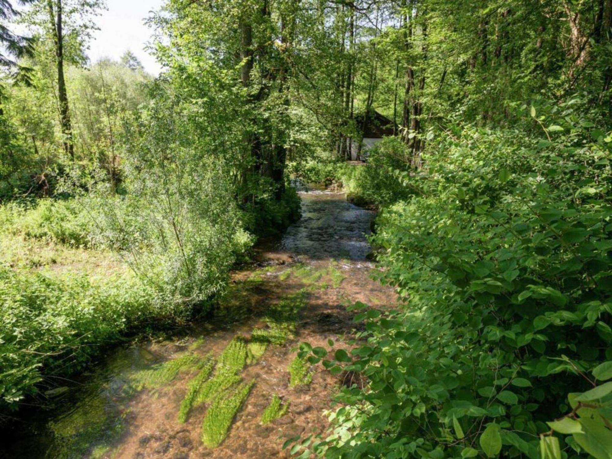 Cozy Cottage In Malmedy With Large Garden Exterior foto